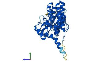 AlphaFold protein structure predicition of Mouse Recombinant Fn3krp Protein, UniprotID Q8K274