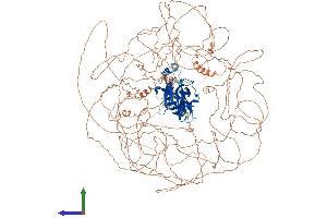 AlphaFold protein structure predicition of Human Recombinant NFAT5 Protein, UniprotID O94916
