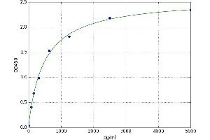 EPH Receptor A2 (EPHA2) ELISA Kit