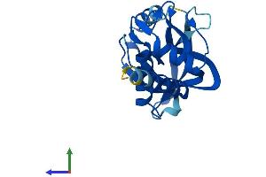 Protein Structure (PS) image for ChaC, Cation Transport Regulator Homolog 2 (CHAC2) (AA 1-184) protein (His tag) (ABIN7553248)