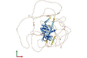 Protein Structure (PS) image for BMP2 Inducible Kinase (BMP2K) (AA 1-1138) protein (His tag) (ABIN7564829)