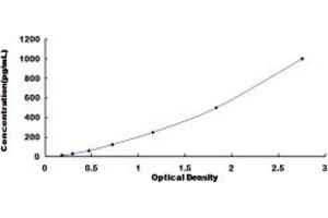 Typical standard curve (LTB ELISA 试剂盒)