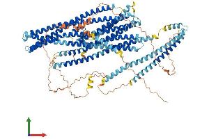 Protein Structure (PS) image for Ellis Van Creveld Syndrome (EVC) (AA 1-992) protein (His tag) (ABIN7553837)