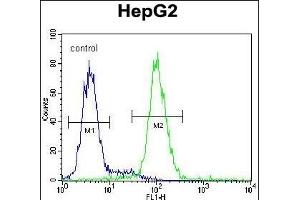 Flow Cytometry (FACS) image for anti-Proteasome (Prosome, Macropain) 26S Subunit, Non-ATPase, 7 (PSMD7) (AA 267-295), (C-Term) antibody (ABIN650763)