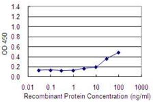 Detection limit for recombinant GST tagged MAGEA2 is 1 ng/ml as a capture antibody. (MAGEA2 抗体  (AA 1-314))