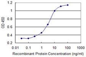 Detection limit for recombinant GST tagged PDE3A is 0. (PDE3A 抗体  (AA 533-640))