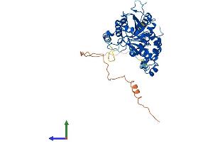 Protein Structure (PS) image for Mannosyl (Alpha-1,6-)-Glycoprotein beta-1,2-N-Acetylglucosaminyltransferase (MGAT2) (AA 1-447) protein (His tag) (ABIN7549372)