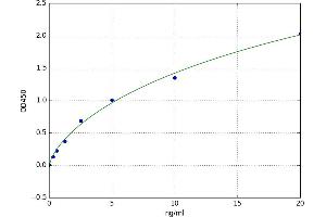 Iduronate 2-Sulfatase (IDS) ELISA Kit