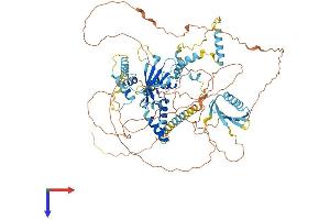 FAM48A/P38IP Protein (AA 1-779) (His tag)