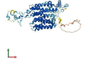 Protein Structure (PS) image for Solute Carrier Family 22 (Organic Anion Transporter), Member 13 (SLC22A13) (AA 1-551) protein (His tag) (ABIN7551615)