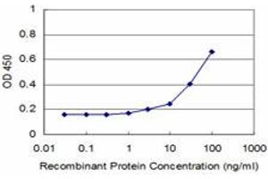 Detection limit for recombinant GST tagged FHIT is approximately 1ng/ml as a capture antibody. (FHIT 抗体  (AA 31-130))