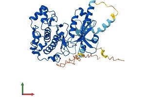Protein Structure (PS) image for serine/threonine Kinase 32B (STK32B) (AA 1-414) protein (His tag) (ABIN7561615)