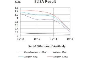 ELISA image for anti-Tumor Necrosis Factor Receptor Superfamily, Member 25 (TNFRSF25) antibody (ABIN7193676)