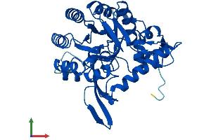 Protein Structure (PS) image for Guanosine Monophosphate Reductase (GMPR) (AA 1-345) protein (His tag) (ABIN7561365)