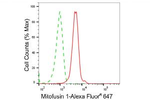Flow cytometric analysis of Mitofusin 1 expression in C2C12 cells using Mitofusin 1 antibody (ABIN7799439), 1:2,000). (Recombinant MFN1 抗体)