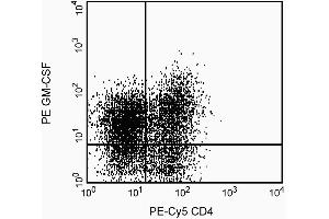 Expression of GM-CSF by stimulated human peripheral blood mononuclear cells (PBMC). (GM-CSF 抗体)
