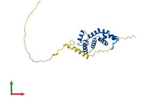 AlphaFold protein structure predicition of Mouse Recombinant Rgs19 Protein, UniprotID Q9CX84