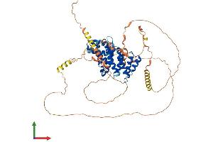Protein Structure (PS) image for CBP80/20-Dependent Translation Initiation Factor (CTIF) (AA 1-598) protein (His tag) (ABIN7553594)