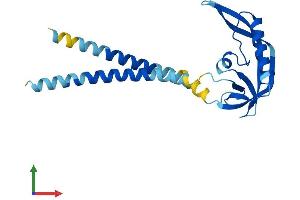 Protein Structure (PS) image for Potassium Large Conductance Calcium-Activated Channel, Subfamily M, beta Member 4 (KCNMB4) (AA 1-210) protein (His tag) (ABIN7548629)