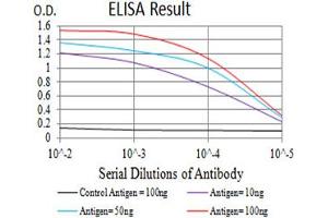 Black line: Control Antigen (100 ng),Purple line: Antigen (10 ng), Blue line: Antigen (50 ng), Red line:Antigen (100 ng) (CCR7 抗体)