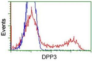HEK293T cells transfected with either RC219658 overexpress plasmid (Red) or empty vector control plasmid (Blue) were immunostained by anti-DPP3 antibody (ABIN2454856), and then analyzed by flow cytometry. (DPP3 抗体)