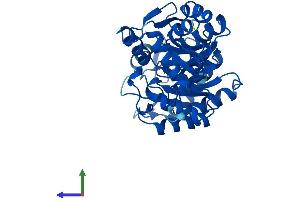 Protein Structure (PS) image for Aminolevulinate Dehydratase (ALAD) (AA 1-330) protein (His tag) (ABIN7548262)