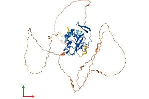 Protein Structure (PS) image for T-Box 22 (TBX22) (AA 1-517) protein (His tag) (ABIN7559558)