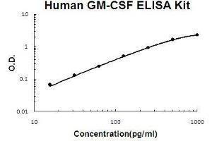 Human GM-CSF PicoKine ELISA Kit standard curve