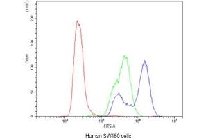 Flow cytometry testing of human SW480 cells with CA2 antibody at 1ug/10^6 cells (blocked with goat sera) (CA2 抗体)
