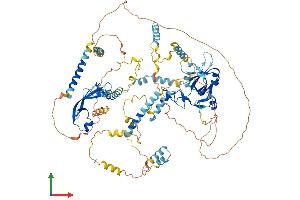 Protein Structure (PS) image for Minichromosome Maintenance Deficient 10 (MCM10) (AA 1-875) protein (His tag) (ABIN7554537)