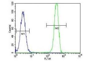 MSH2 antibody flow cytometric analysis of HeLa cells (green) compared to a negative control (blue). (MSH2 抗体  (AA 637-665))