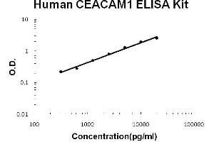 Human CEACAM1 PicoKine ELISA Kit standard curve (CEACAM1 ELISA 试剂盒)