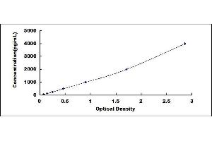 Typical standard curve (MTHFR ELISA 试剂盒)