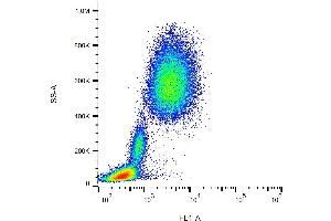Surface staining of human peripheral blood with anti-human CD10 (MEM-78) FITC. (MME 抗体  (FITC))