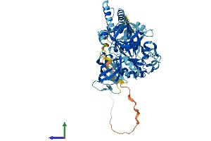 AlphaFold protein structure predicition of Mouse Recombinant Gtpbp2 Protein, UniprotID Q3UJK4