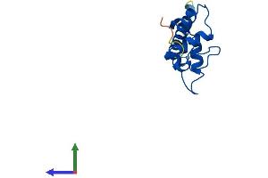 AlphaFold protein structure predicition of Human Recombinant H2AZ2 Protein, UniprotID Q71UI9