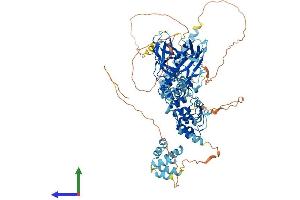 AlphaFold protein structure predicition of Mouse Recombinant Nfkb2 Protein, UniprotID Q9WTK5