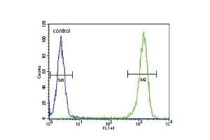 Flow Cytometry (FACS) image for anti-Melanocortin 5 Receptor (MC5R) (AA 261-288), (C-Term) antibody (ABIN5531639)