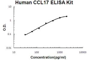 Human CCL17/TARC Accusignal ELISA Kit Human CCL17/TARC AccuSignal ELISA Kit standard curve.