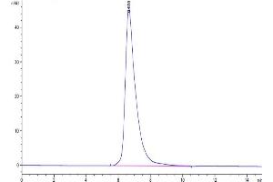 The purity of Human IL-2 R gamma is greater than 95 % as determined by SEC-HPLC. (IL2RG Protein (AA 23-254) (His-Avi Tag))