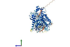 Protein Structure (PS) image for Heat Shock 70kD Protein 12B (HSPA12B) (AA 1-685) protein (His tag) (ABIN7560790)
