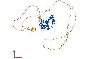 Protein Structure (PS) image for Paired Box 9 (PAX9) (AA 1-341) protein (His tag) (ABIN7550621)