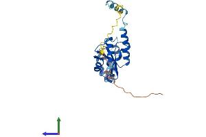 Protein Structure (PS) image for UTP23, Small Subunit (SSU) Processome Component, Homolog (UTP23) (AA 1-249) protein (His tag) (ABIN7544973)