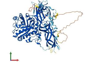 Protein Structure (PS) image for Endo-beta-N-Acetylglucosaminidase (ENGASE) (AA 1-734) protein (His tag) (ABIN7558991)