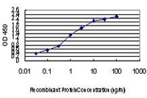 Detection limit for recombinant GST tagged GATA2 is approximately 0. (GATA2 抗体  (AA 1-102))