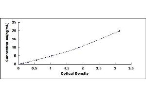 Typical standard curve (TUBA1A ELISA 试剂盒)