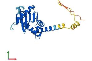 Protein Structure (PS) image for Adaptor-Related Protein Complex 3, sigma 1 Subunit (AP3S1) (AA 1-193) protein (His tag) (ABIN7552293)