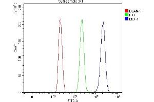 Flow Cytometry analysis of HL-60 cells using anti-MDH1 antibody (ABIN7602039).