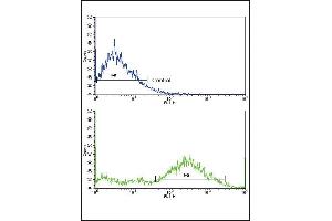 Flow Cytometry (FACS) image for anti-Major Vault Protein (MVP) (AA 863-893), (C-Term) antibody (ABIN390156)