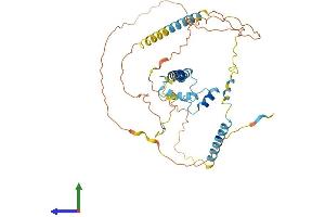 Protein Structure (PS) image for NFKB Activating Protein (NKAP) (AA 1-415) protein (His tag) (ABIN7549762)